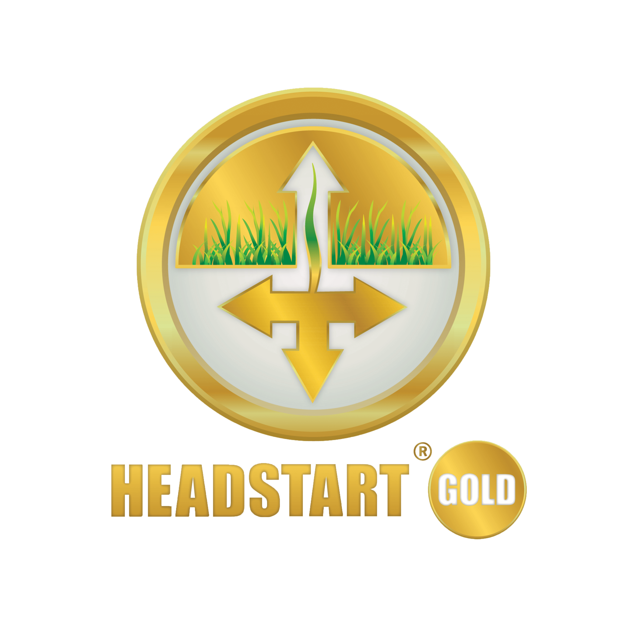 Headstart-Gold-Logo-trans