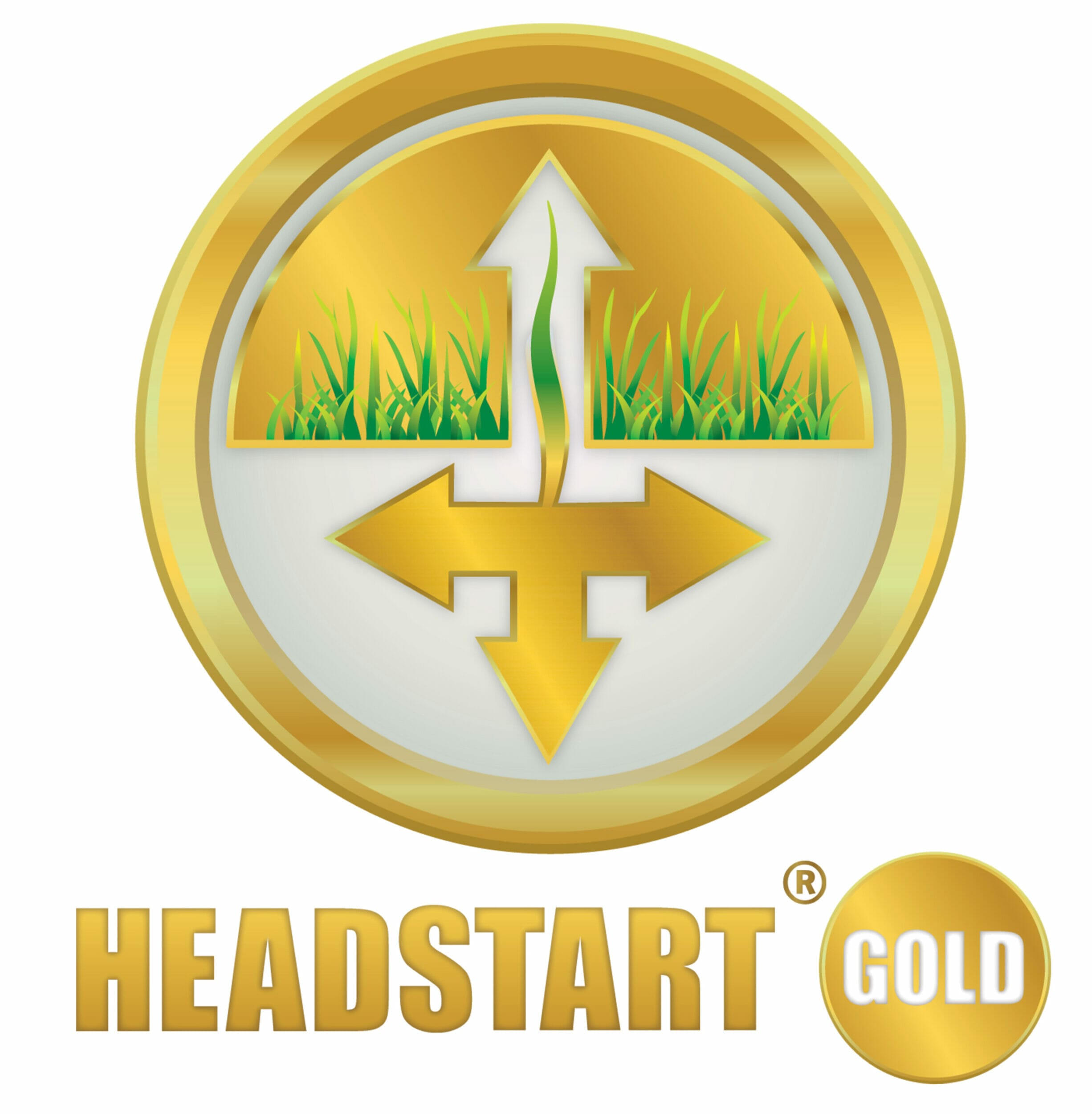 Headstart-Gold-Logo
