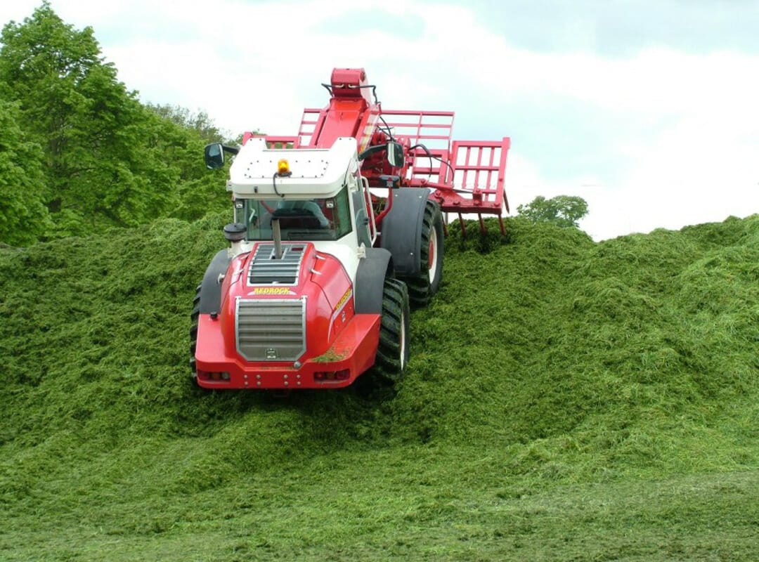 SMG-Colossal-Silage-Grass-Mixture