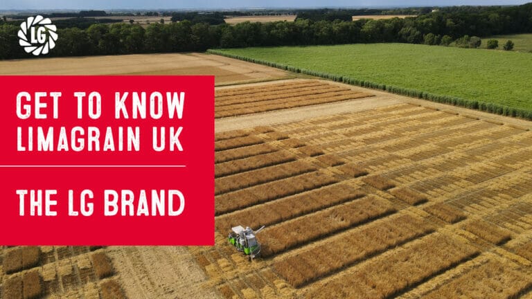 Get to know Limagrain UK