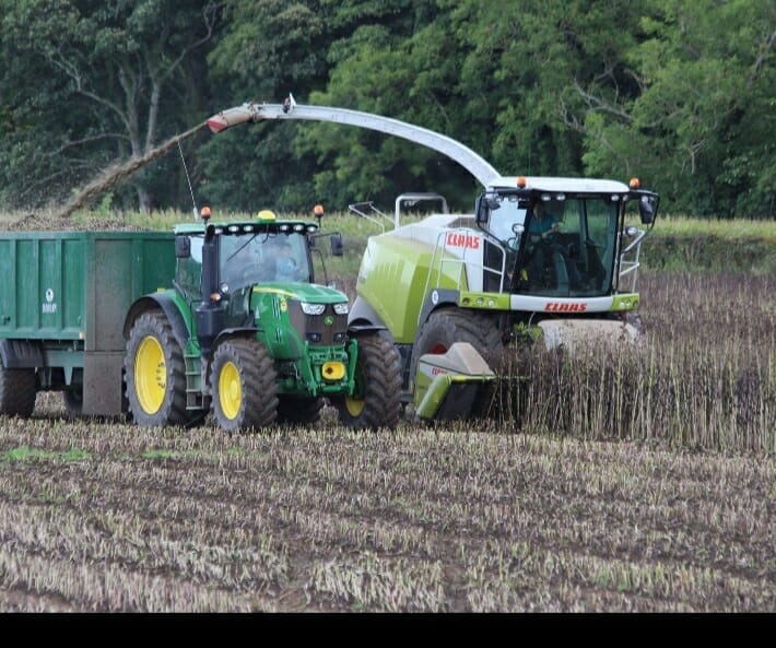 Wayne Bean harvesting Tundra winter beans PR