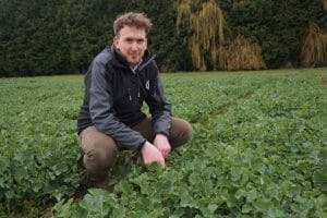 Liam Wilkinson - Limagrain UK in Oilseed Rape trial plots