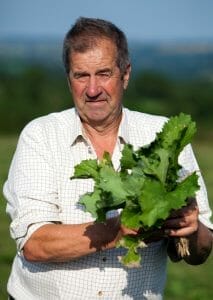 Philip Sims sheep and beef farmer with his Skyfall bounce back brassica