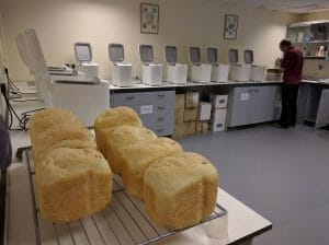 Bread loaves quality testing at Woolpit Breeding facility at Limagrain UK