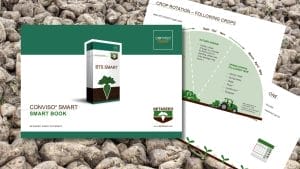 Betaseed Conviso Smart Book Visual